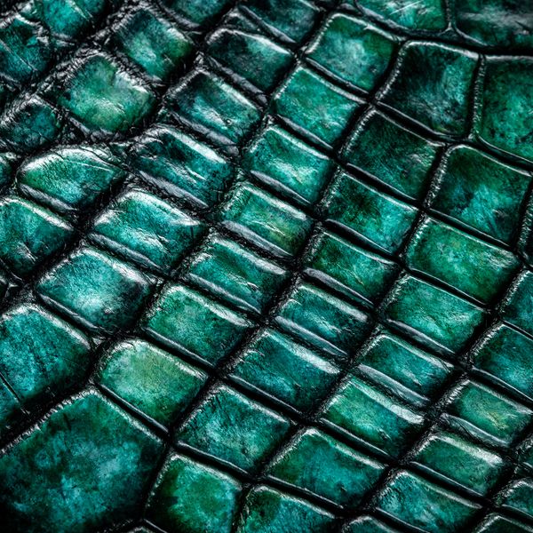 Чохол накладка зі шкіри крокодила Crocсo для Samsung M Series пофарбований | Зелений SKU0020-12 фото